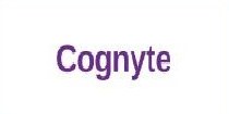 Cognyte — AIQUBE client
